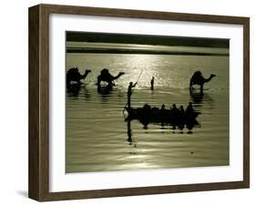 Indian Farmers Carry Watermelon across the River Ganges on their Camels in Allahabad, India-null-Framed Photographic Print