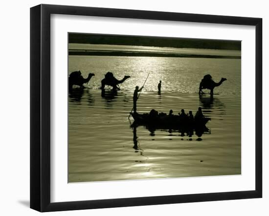 Indian Farmers Carry Watermelon across the River Ganges on their Camels in Allahabad, India-null-Framed Photographic Print