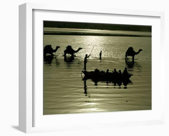 Indian Farmers Carry Watermelon across the River Ganges on their Camels in Allahabad, India-null-Framed Photographic Print