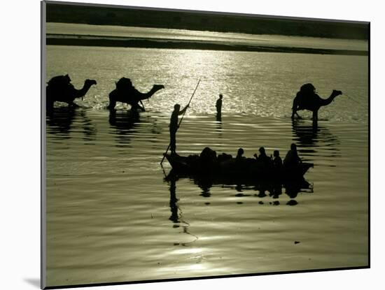 Indian Farmers Carry Watermelon across the River Ganges on their Camels in Allahabad, India-null-Mounted Photographic Print