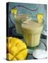 Indian Food, Lassi, Mango Juice, India-Tondini Nico-Stretched Canvas