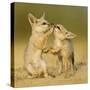 Indian fox pups at play by a den, Kutch, Gujarat, India-Sandesh Kadur-Stretched Canvas