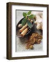 Indian Garam Masala and Ingredients-Eising Studio - Food Photo and Video-Framed Photographic Print