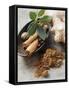 Indian Garam Masala and Ingredients-Eising Studio - Food Photo and Video-Framed Stretched Canvas