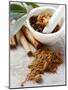 Indian Garam Masala and Ingredients-Eising Studio - Food Photo and Video-Mounted Photographic Print