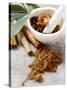 Indian Garam Masala and Ingredients-Eising Studio - Food Photo and Video-Stretched Canvas