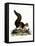 Indian Giant Squirrel-null-Framed Stretched Canvas