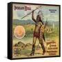 Indian Hill Brand - Pomona, California - Citrus Crate Label-Lantern Press-Framed Stretched Canvas