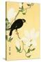 Indian Hill Minor and Magnolia-Koson Ohara-Stretched Canvas