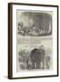 Indian Ivory Carvings for the Great Exhibition-null-Framed Giclee Print