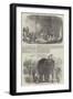 Indian Ivory Carvings for the Great Exhibition-null-Framed Giclee Print