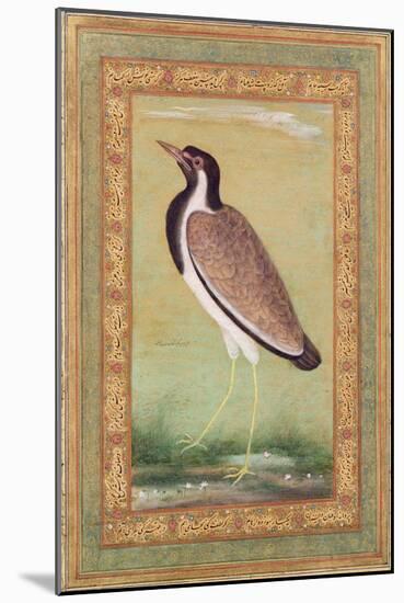 Indian Lapwing, C.1800-Ustad Mansur-Mounted Giclee Print