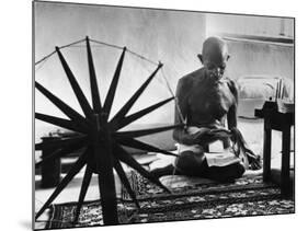 Indian Leader Mohandas Gandhi Reading as He Sits Cross Legged on Floor-Margaret Bourke-White-Mounted Premium Photographic Print