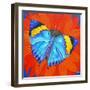 Indian Leaf Butterfly, 2014-Jane Tattersfield-Framed Giclee Print