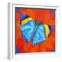 Indian Leaf Butterfly, 2014-Jane Tattersfield-Framed Giclee Print