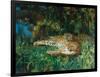 Indian Leopards-John Macallan Swan-Framed Premium Giclee Print