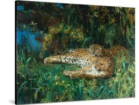 Indian Leopards-John Macallan Swan-Stretched Canvas