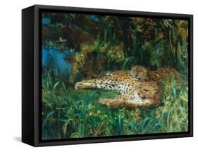 Indian Leopards-John Macallan Swan-Framed Stretched Canvas