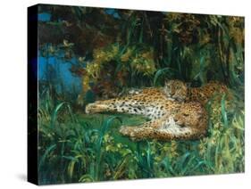 Indian Leopards-John Macallan Swan-Stretched Canvas