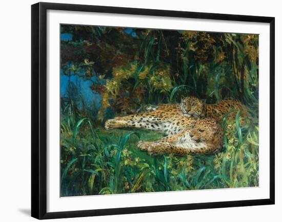 Indian Leopards-John Macallan Swan-Framed Giclee Print