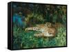Indian Leopards-John Macallan Swan-Framed Stretched Canvas