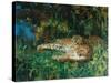 Indian Leopards-John Macallan Swan-Stretched Canvas