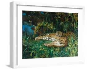 Indian Leopards-John Macallan Swan-Framed Giclee Print