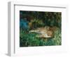 Indian Leopards-John Macallan Swan-Framed Premium Giclee Print