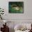 Indian Leopards-John Macallan Swan-Framed Stretched Canvas displayed on a wall