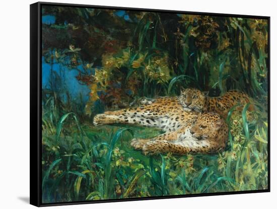 Indian Leopards-John Macallan Swan-Framed Stretched Canvas