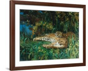 Indian Leopards-John Macallan Swan-Framed Giclee Print