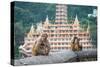 Indian Macaque Monkeys-asaf eliason-Stretched Canvas