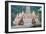 Indian Macaque Monkeys-asaf eliason-Framed Photographic Print