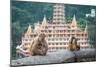 Indian Macaque Monkeys-asaf eliason-Mounted Photographic Print