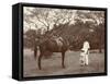 Indian Man and Girl with Horse-null-Framed Stretched Canvas