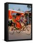 Indian Man in Bicycle Rickshaw, India-Dee Ann Pederson-Framed Stretched Canvas