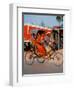 Indian Man in Bicycle Rickshaw, India-Dee Ann Pederson-Framed Photographic Print