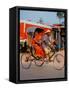 Indian Man in Bicycle Rickshaw, India-Dee Ann Pederson-Framed Stretched Canvas