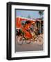 Indian Man in Bicycle Rickshaw, India-Dee Ann Pederson-Framed Premium Photographic Print