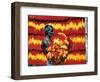 Indian Muslim Artisan Carries Freshly Dyed Kalawa-null-Framed Photographic Print