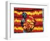 Indian Muslim Artisan Carries Freshly Dyed Kalawa-null-Framed Photographic Print