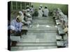 Indian Muslim Children Read the Holy Quran-null-Stretched Canvas