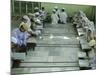 Indian Muslim Children Read the Holy Quran-null-Mounted Photographic Print