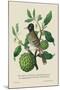 Indian Nightingale-J. Forbes-Mounted Art Print
