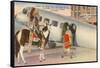 Indian on Pinto with Airplane, Oklahoma City, Oklahoma-null-Framed Stretched Canvas