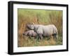 Indian One-Horned Rhinoceros (Rhino), Rhinoceros Unicornis, with Calf, Assam, India-Ann & Steve Toon-Framed Photographic Print