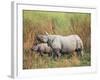 Indian One-Horned Rhinoceros (Rhino), Rhinoceros Unicornis, with Calf, Assam, India-Ann & Steve Toon-Framed Photographic Print