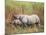 Indian One-Horned Rhinoceros (Rhino), Rhinoceros Unicornis, with Calf, Assam, India-Ann & Steve Toon-Mounted Photographic Print