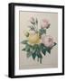 Indian or Rose of Bengal-Pierre-Joseph Redoute-Framed Art Print