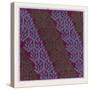 Indian Ornament-null-Stretched Canvas